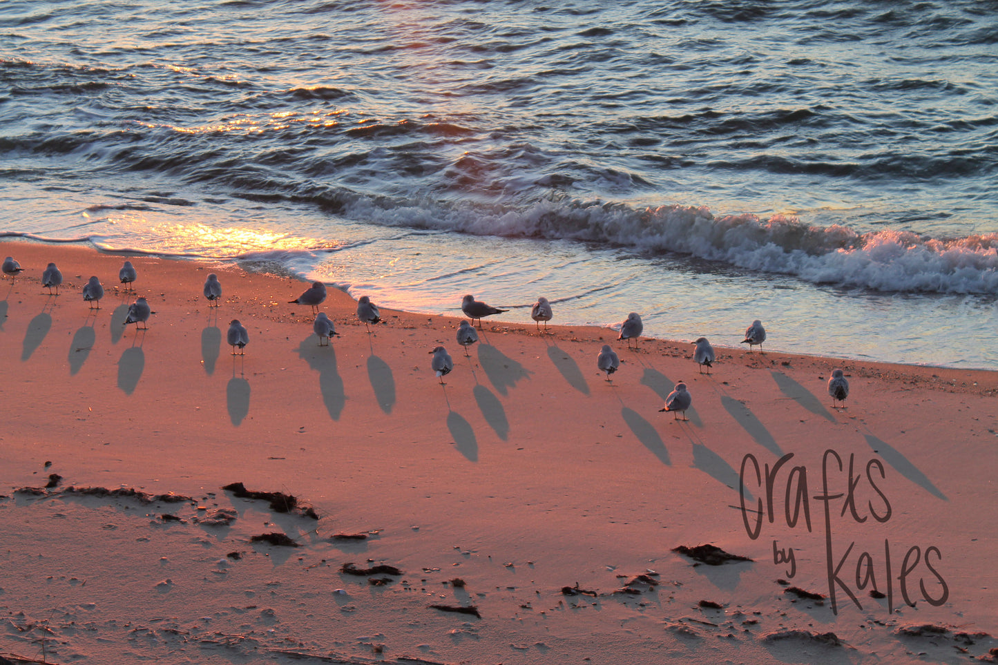 Birds in the Sand