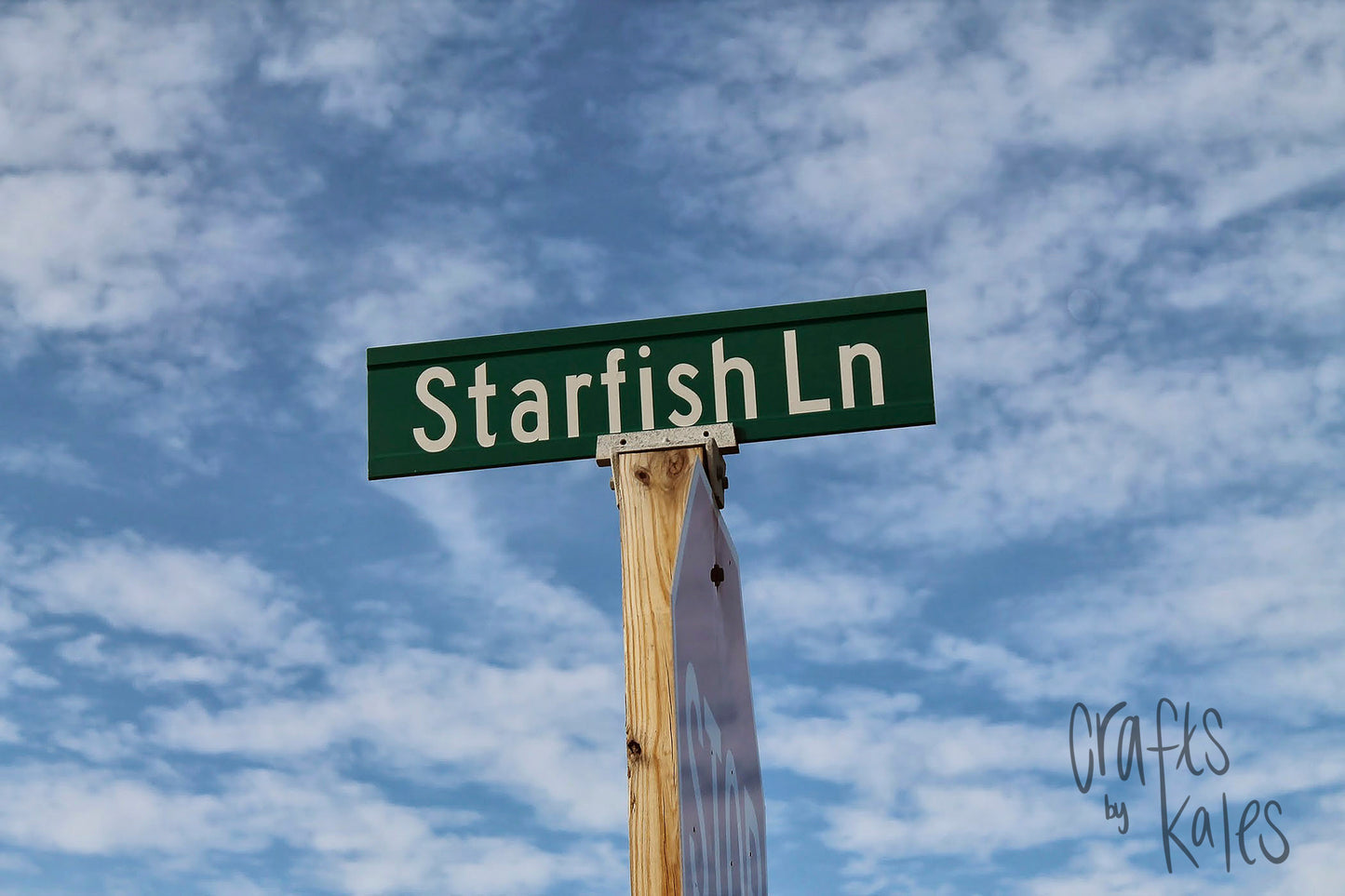 Starfish Lane